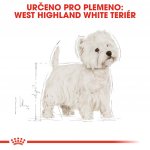 Royal Canin West Highland White Terrier Adult 0,5 kg – Sleviste.cz