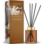Bartek Candles Vonný difuzér Good Moments 100 ml – Hledejceny.cz