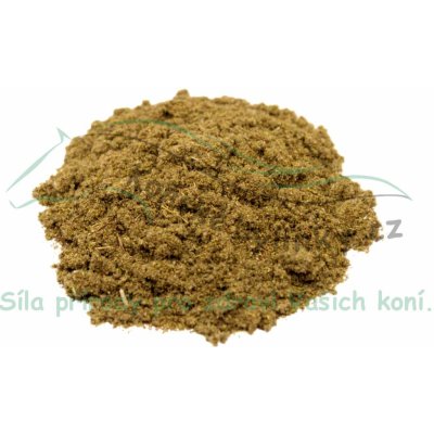 Koňské bylinky Šalvěj lékařská nať MLETÁ 1 kg – Hledejceny.cz