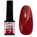 Expa Nails Uv Led gel lak Magnetic 18 5 ml – Sleviste.cz