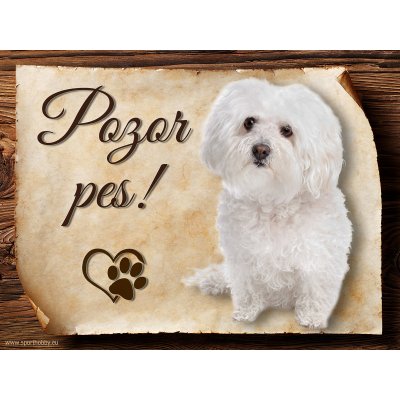 Sport hobby Cedulka Boloňský psík Pozor pes 15 x 11 cm – Zboží Mobilmania