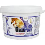 Orling Gelapony Arthro 0,9 kg – HobbyKompas.cz