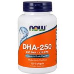 Now Foods DHA-250 120 kapslí – Hledejceny.cz