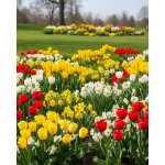 Mix Oslava jara – Zboží Dáma