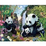 Amparo Miranda® Diamantový obrázek Pandy DM71 – Sleviste.cz