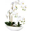 Květina Umělá Orchidej Můrovec bílý v misce, 60cm
