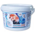 Orling Gelapony Chondro HYAL 0,9 kg – Hledejceny.cz