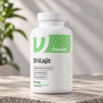 Ostrovit Pharma Shilajit 90 kapslí – Hledejceny.cz