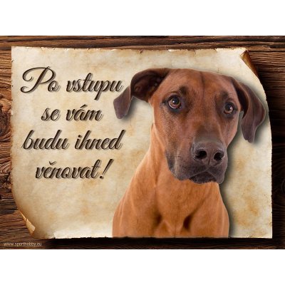 Sport hobby Cedulka Rhodéský ridgeback Po vstupu ... 15 x 11 cm