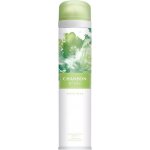Chanson Chanson D´Eau deospray 200 ml – Zboží Dáma