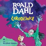 Čarodějnice - Roald Dahl – Hledejceny.cz