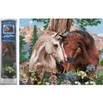 Norimpex Diamantové malování Koňské souznění 30 x 40 cm – Sleviste.cz