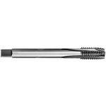 Bučovice Tools ZAV M22 LAMAC 2N HSS PN 8/1376 DIN376 - BU105-220 – Hledejceny.cz