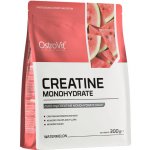 OstroVit Creatine Monohydrate, 300 g – Hledejceny.cz
