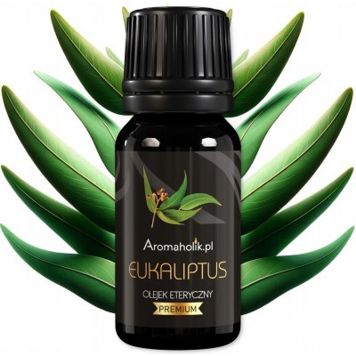 Aromaholik Přírodní esenciální olej Eukalyptus 10 ml – Hledejceny.cz