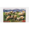 Model Miniart Accessories Pecore Sheeps 1:35