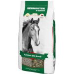 Sehnoutek Koně směs MASH 15 kg – Zboží Dáma