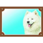 Dafiko Tabulka Samojed – Hledejceny.cz