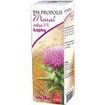 PM Propolis Echinacea extra 3% kapky 50 ml – Hledejceny.cz