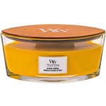 WoodWick Seaside Mimosa 453,6 g – Hledejceny.cz