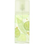 Elizabeth Arden Green Tea Cucumber toaletní voda dámská 100 ml tester – Hledejceny.cz