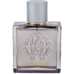 Roberto Cavalli Uomo Silver Essence toaletní voda pánská 100 ml – Hledejceny.cz