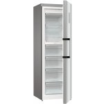 Gorenje FN619EAXL6