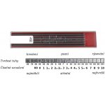 Koh-i-noor Tuhy do versatilky HB 4190 průměr 2mm – Zboží Živě