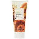 Korres Body Milk Bergamot Pear tělové mléko 200 ml