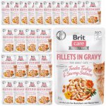 Brit Care Cat Fillets in Gravy Tender Turkey & Savory Salmon 85 g – Sleviste.cz