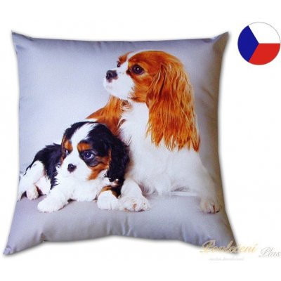 Dadka polštář Psí kavalíři 40x40 – Zbozi.Blesk.cz