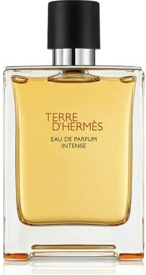 Hermes Terre d´Hermès Intense parfémovaná voda pánská 100 ml plnitelný flakón