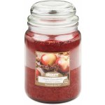 Airpure Apple Cinnamon 510 g – Zboží Dáma