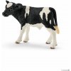Figurka Schleich 13798 Holstein calf