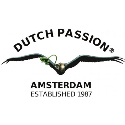 Dutch Passion AUTO Colorado Cookies 0% THC Balení: 1 ks – Zboží Mobilmania