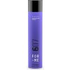 Přípravky pro úpravu vlasů Framesi FM Hold Me Extremely Hairspray 607 500 ml