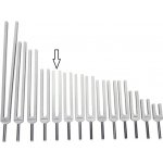 Ladička Meridián srdce 289Hz – Zbozi.Blesk.cz