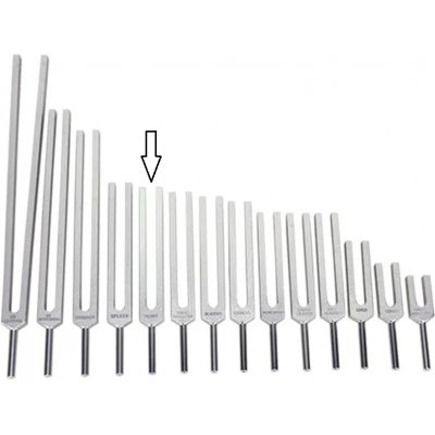 Ladička Meridián srdce 289Hz – Zbozi.Blesk.cz