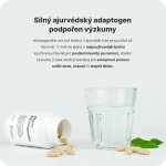 Vilgain Ashwagandha 90 kapslí – Zbozi.Blesk.cz