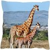 Dekorační povlak na polštáře 4sleep zip velur Žirafy 40 x 40 cm