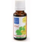 Divine Way Bioinformační bylinná tinktura 10 ml – Hledejceny.cz