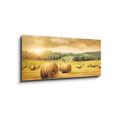 Obraz 1D panorama - 120 x 50 cm - Field of freshly bales of hay with beautiful sunset Pole čerstvých balíků sena s krásným západem slunce