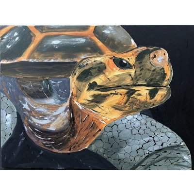 Zbyněk Bezecný, Želva, Malba na plátně, akrylové barvy, 50 x 70 cm – Zboží Mobilmania