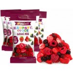 Mixit Křupavé ovoce do kapsy Lesní mix 20 g – Sleviste.cz