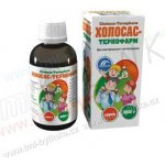 Cholosas šípkový sirup Ternofarm 250 g – Hledejceny.cz