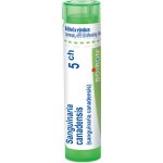 SANGUINARIA CANADENSIS POR 5CH GRA 4G – Hledejceny.cz