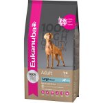 Eukanuba Adult Large Breed Lamb & Rice 2 x 12 kg – Hledejceny.cz