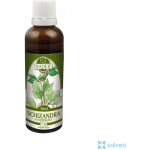 Naděje Podhorná Schizandra Klanopraška čínská tinktura 50 ml – Hledejceny.cz