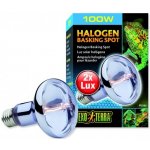 Hagen ExoTerra Sun Glo Halogen Neodymium 100 W – Zboží Dáma