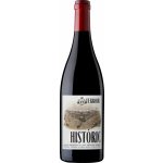 Terroir Al Limit Historic Negre 2022 Červené 13,5% 0,75 l (holá láhev) – Hledejceny.cz